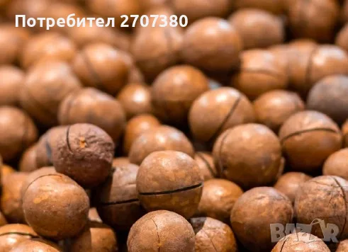 Макадамия с черупка