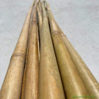 Бамбукови пръчки 295 см бамбукови колчета бамбукови колци, снимка 1 - Градински мебели, декорация  - 41339498