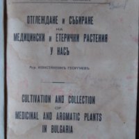 Отглеждане и събиране на медицински и етерични растения у насъ  1940г  К.Георгиев, снимка 2 - Специализирана литература - 35764341