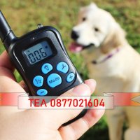 Електронен нашийник за куче, снимка 8 - За кучета - 39713150
