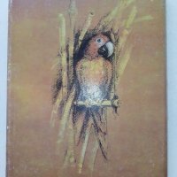 Животът и приключенията на Робинзон Крузо - Даниел Дефо - 1989г., снимка 5 - Художествена литература - 39543574