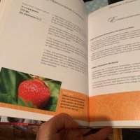 Продавам нова лукзозно издание на  книга на немски за рецепти  на плодови сладки , снимка 3 - Други - 38815235
