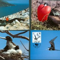 Възнесение 1990 - 4 броя Карти Максимум - WWF, снимка 1 - Филателия - 38841693