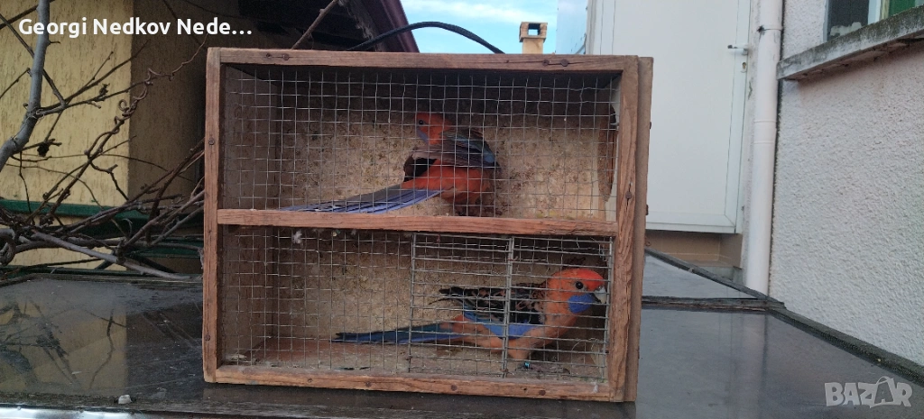 Чифт оранжеви пенанти, снимка 1