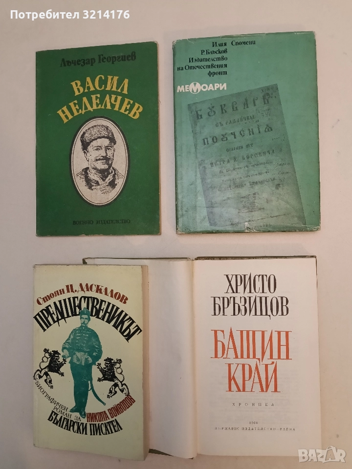 Бащин край. Хроника - Христо Д. Бръзицов, снимка 1