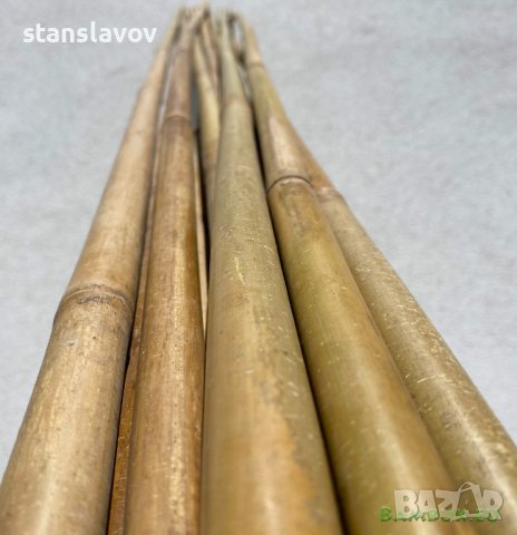 Бамбукови пръчки 295 см бамбукови колчета бамбукови колци, снимка 1 - Градински мебели, декорация  - 41339498