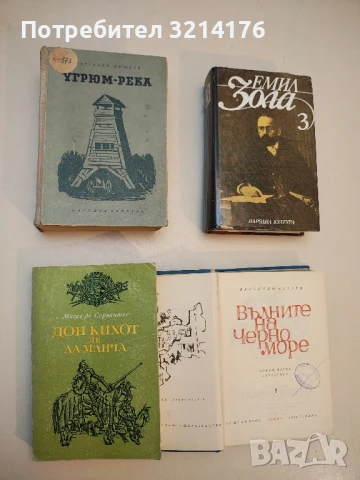 Вълните на Черно море. Том 1. Самотна лодка се белее; Чифлик в степта - Валентин Катаев, снимка 2 - Художествена литература - 50986392