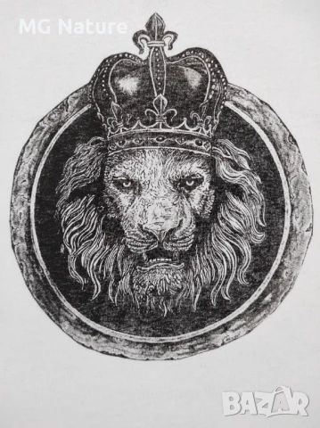 Тениски с уникален дизайн