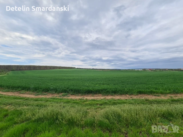 Поземлен земеделски имот , снимка 11 - Земеделска земя - 50649780