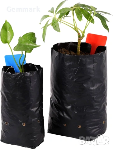 Пликове за разсад, рози, овошки, зеленчуци, снимка 2 - Саксии и кашпи - 53787218