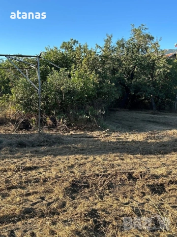 Оране фрезоване и мулчиране на дворове, снимка 10 - Други услуги - 53048896