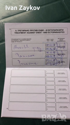 Продавам мини йорки ,черни перли - две момчета., снимка 3 - Йоркширски териер - 53384251