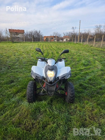 ATV Luxxon 300, снимка 2 - Мотоциклети и мототехника - 53687461