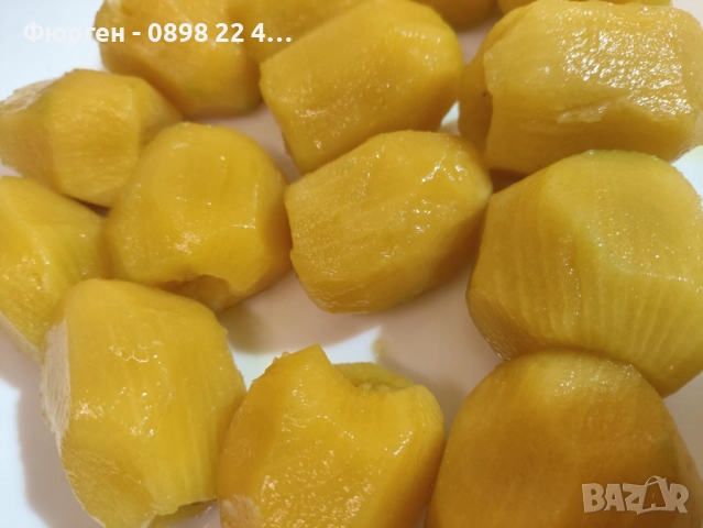 Фиданки Киви Голд - Златно киви, снимка 8 - Разсади - 38115114