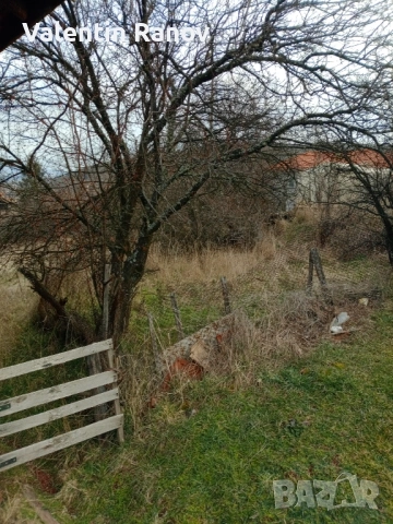 Имот къща в село Гълъбник с площ 980кв, снимка 6 - Парцели - 53349875