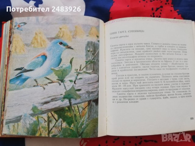 Атлас по зоология Цоло Пешев, Симеон  Симеонов, снимка 7 - Специализирана литература - 41081710