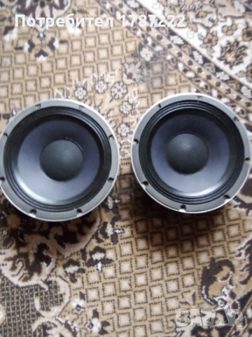 Говорители 10 инча.