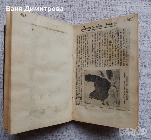 Птицевъденъ календаръ за 1908 год., снимка 6 - Други - 53473079