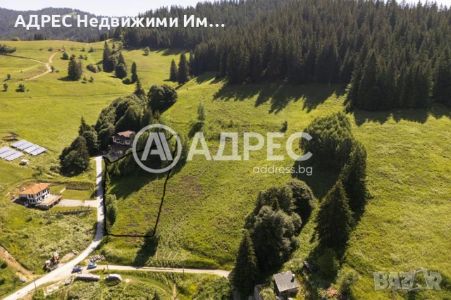 Продава парцел с. Проглед (Смолян-Чепеларе), снимка 7 - Парцели - 50856980