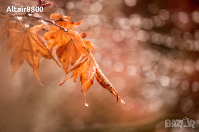 Nikon AF-S 55-200mm f/4-5.6G ED VR обектив Никон, снимка 7 - Обективи и филтри - 53014652