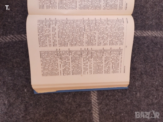 речник на чуждите думи в българския език 