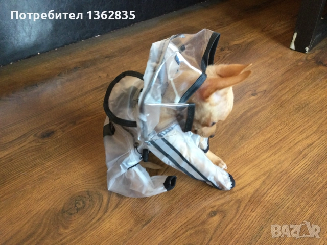 НОВ прозрачен дъждобран за куче от Италия размер S 