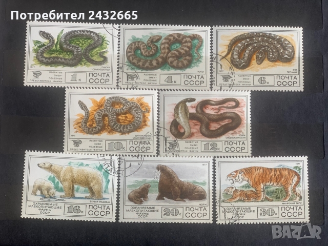 479б. СССР 1977 =  “ Фауна. Отровни змии и защитени бозайници” , снимка 1 - Филателия - 32305175