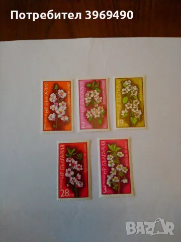 Серия от 5 пощенски марки от България 1975 г.