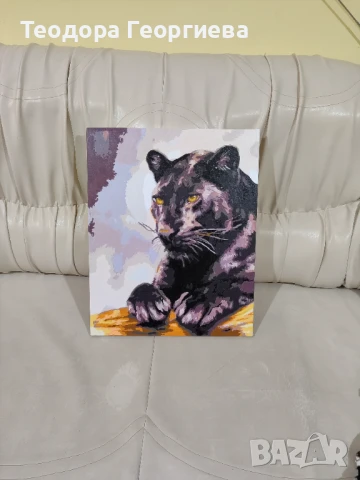 Картини по номера , снимка 5 - Картини - 50648052