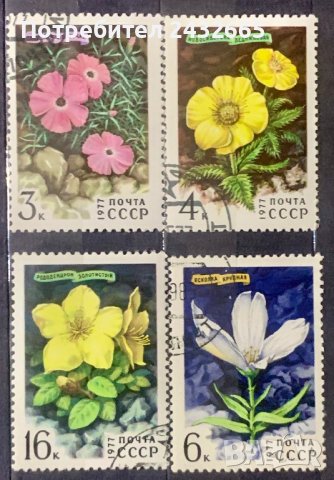 1020a. СССР 1977 = “ Флора. Сибирски цветя ” , снимка 1 - Филателия - 36785121