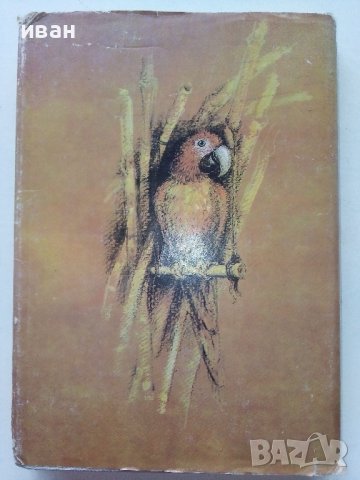 Животът и приключенията на Робинзон Крузо - Даниел Дефо - 1989г., снимка 5 - Художествена литература - 39543574