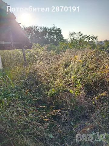 Косене на трева, храсти Подръжка на градини, снимка 7 - Други - 49379936