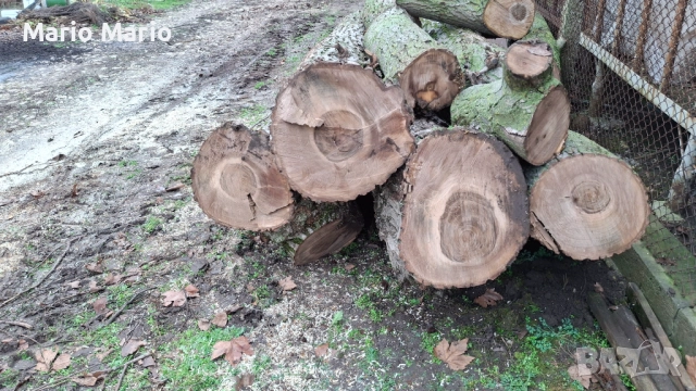 Орехова дървесина , снимка 3 - Други - 52591216