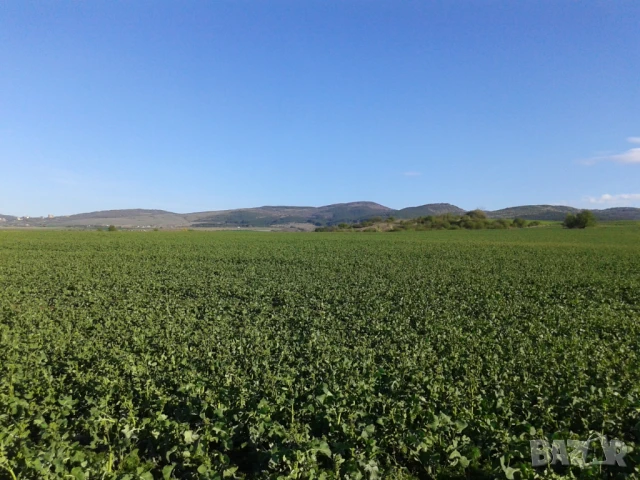 Парцел в гр. София, с. Доброславци намира се на земеделски път с лесен достъп. ПИ , снимка 7 - Парцели - 51400498