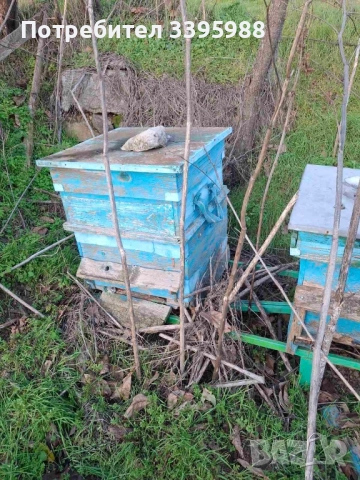 Кошери за пчели, снимка 4 - За пчели - 52938464