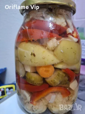 Сурова туршия