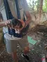 Подарявам уникални сладури.Майката е ловджийска порода.Няма да станат големи ., снимка 4