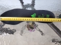 Футболни обувки adidas, снимка 3