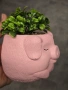 декоративни саксии прасенце, снимка 2
