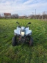 ATV Luxxon 300, снимка 2
