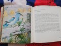 Атлас по зоология Цоло Пешев, Симеон  Симеонов, снимка 7