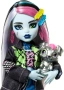 Кукла Monster High Frankie Stein Франки Щайн с домашен любимец и аксесоари, снимка 3