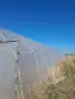 Продавам оранжерии, снимка 1