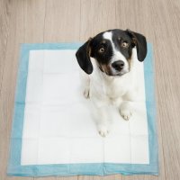 Еднократни хигиенни подложки за кучета 50 бр ИЛИ 100 бр, памперси, размер 60х60 см, снимка 5 - За кучета - 42236354