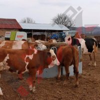 Кръгла пасищна хранилка за крави или коне PH-12S, снимка 8 - За селскостопански - 34653833