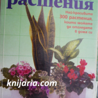 Стайни растения: Най-красивите 300 растения, които можете да отгледате в дома си, снимка 1 - Специализирана литература - 36476147