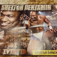Уникални плакати на Първична сила WWE - Разбиване - Кеч
*, снимка 2 - Нумизматика и бонистика - 44700866
