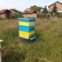 Пчелни семейства( кошери), снимка 2 - За пчели - 40917621