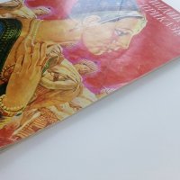 Индийски приказки - 1974г.- Илюстрации Серджо Ризато, снимка 13 - Детски книжки - 42055591