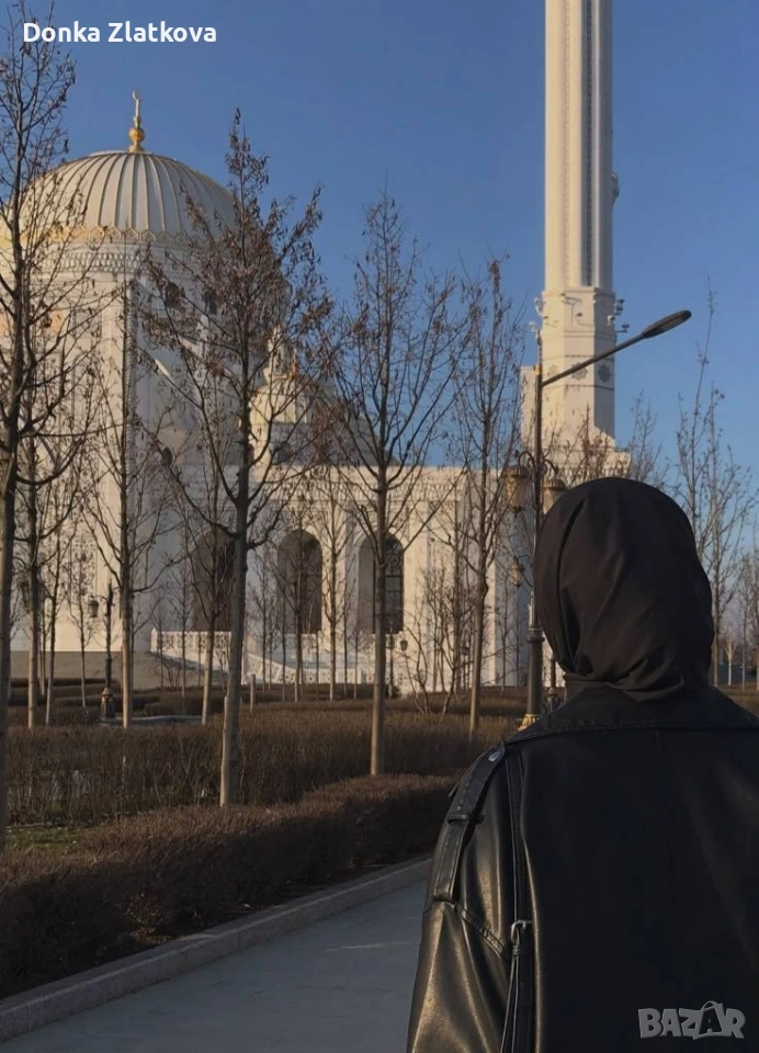 фирия, снимка 1